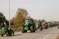 IMG_0205
